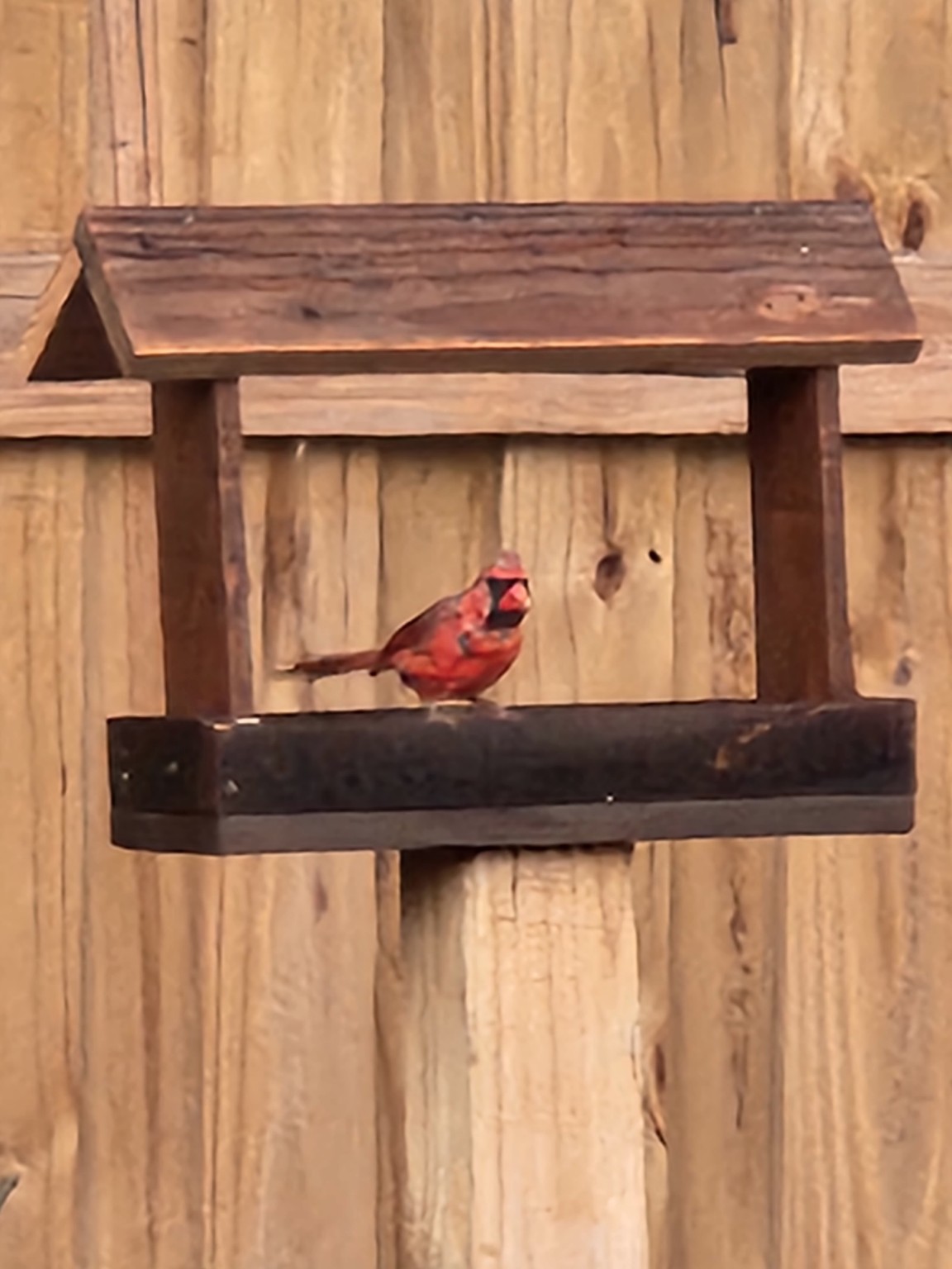 Real Creations by Hatch shop photograph of bird feeders